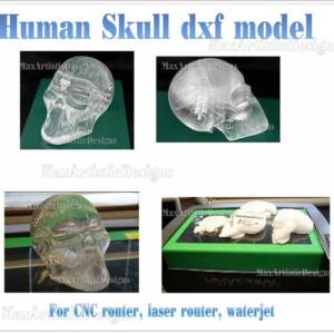 3d cnc skull in dxf dwg eps file formats for cnc laser cut plasma router, laser cutter, waterjet wood cut
