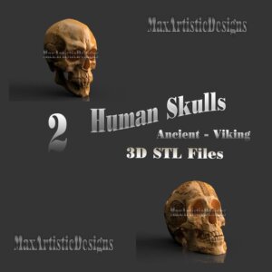 2 crânes viking/anciens fichiers 3d stl de l'anatomie humaine morte pour les imprimantes 3d