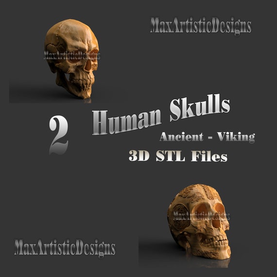2 teschi vichinghi/antica anatomia umana morta file stl 3d per macchine stampante 3d
