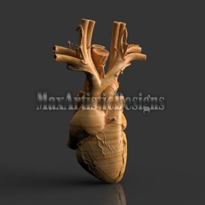 2 hearts human anatomy 3d stl designs for 3d printer machines